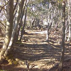 151230_p06.jpg