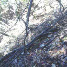 161029_p08.jpg