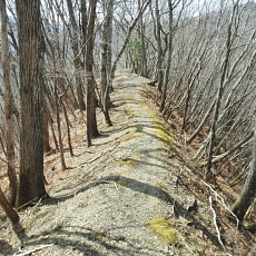 180329_p26.jpg