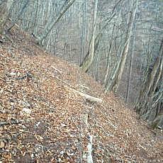 190323_p38.jpg
