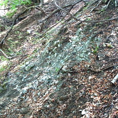 190518_p22.jpg
