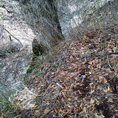 200024_p32.jpg