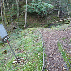210916_p05.jpg