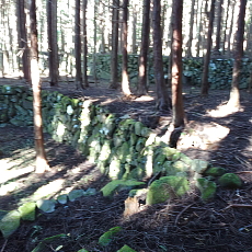 211020_p03.jpg