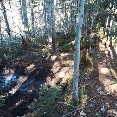 221028_p27.jpg
