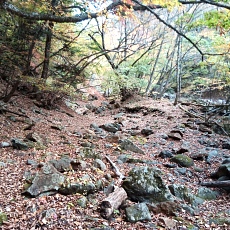 231030_p42.jpg
