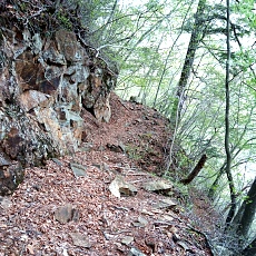 230502_p15.jpg