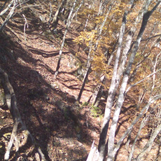 121110_p06.jpg
