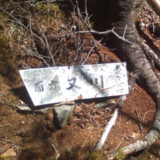 130517_p31.jpg