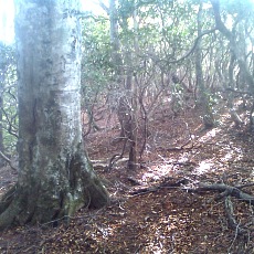 141011_p09.jpg