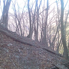 150330_p02.jpg