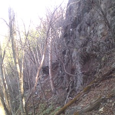 150429_p03.jpg