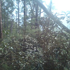 150430_p03.jpg