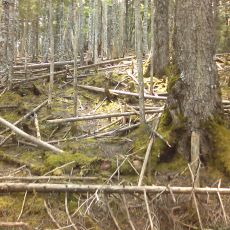 150522_p09.jpg