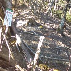 160419-01_p05.jpg