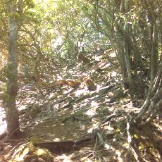160603_p03.jpg