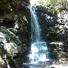 160618_p02.jpg
