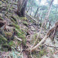 170519_p05.jpg