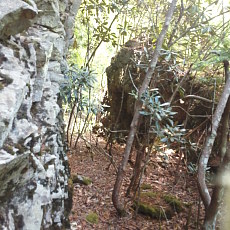 170617_p12.jpg