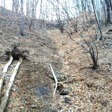 190323_p20.jpg