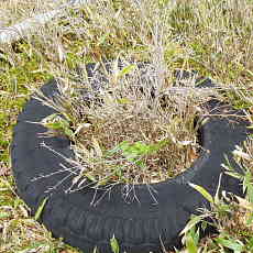200024_p25.jpg
