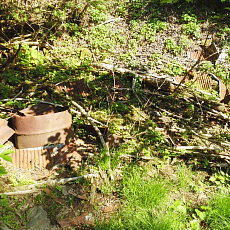 200605_p14.jpg