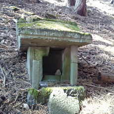 201206_p49.jpg