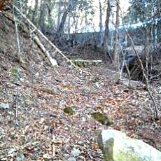 210223_p12.jpg