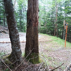 220618_p35.jpg