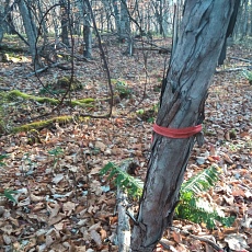 221112_p10.jpg