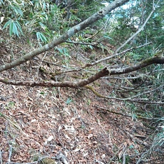 221028_p28.jpg