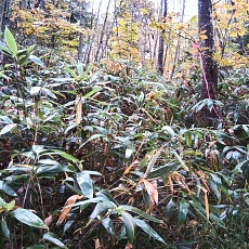 221014_p07.jpg