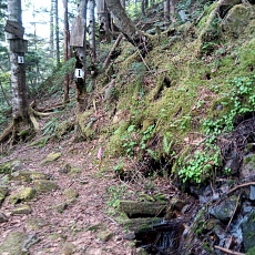 240612_p29.jpg