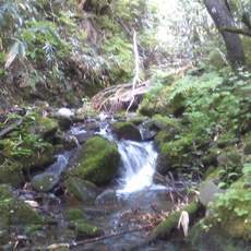 110715_p05.jpg