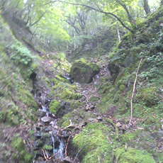 110815_p11.jpg