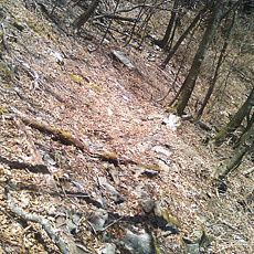 130506_p12.jpg