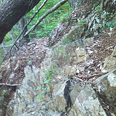 130517_p09.jpg