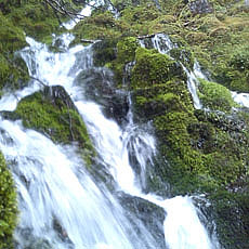 130623_p20.jpg