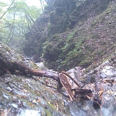 131006_p06.jpg