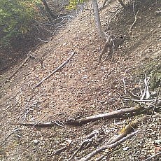141020_p24.jpg