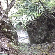 150523_p30.jpg