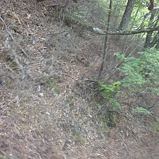 151010_n01.jpg
