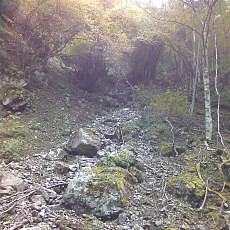 151010_p09.jpg