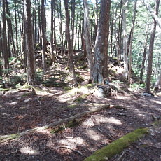 170604_p22.jpg
