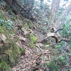 180512_p11.jpg