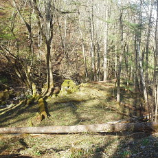 190518_p05.jpg