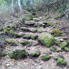 201004_p01.jpg
