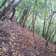 201018_p08.jpg