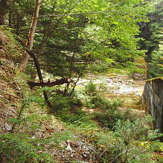 210916_p34.jpg