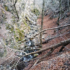 220416_p22.jpg